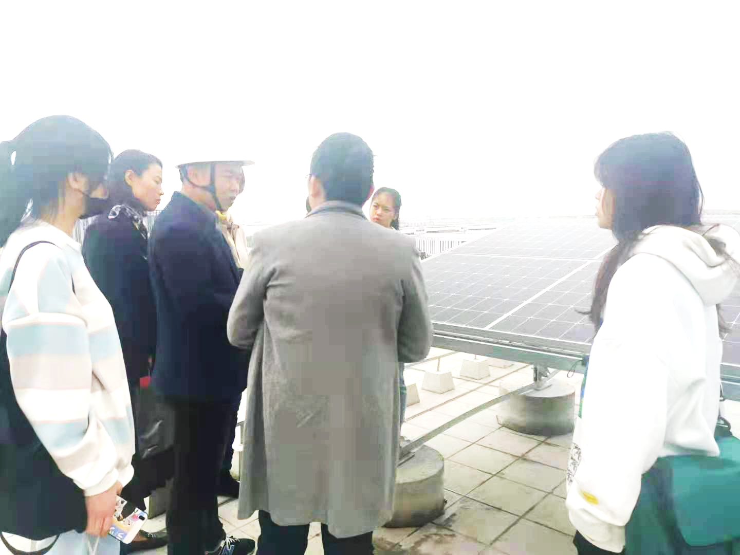 图为财务金融学院师生参观分布式光伏发电项目现场--光伏能源板
