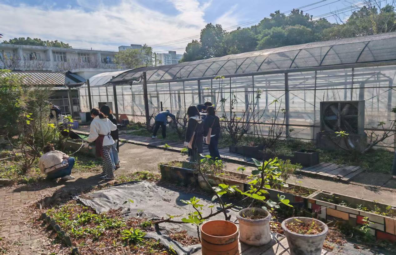 图为同学们在现场铺设地膜